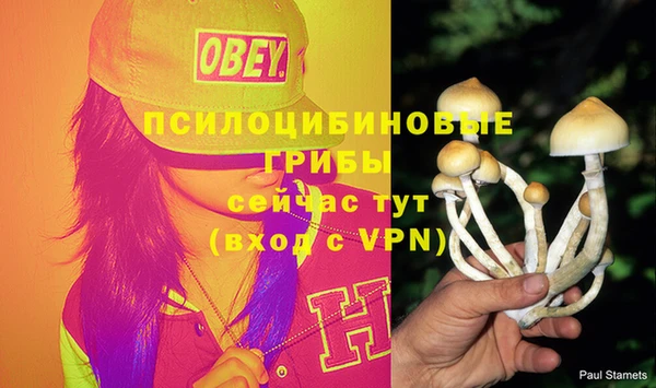 метамфетамин Инта