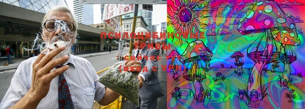 дмт Иннополис