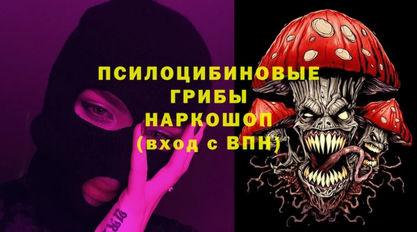 ALPHA-PVP Инсар