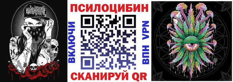 Купить  Сафоново  Псилоцибиновые грибы Cubensis 